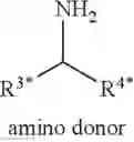 Fig. 20 - Biocatalytic transamination process