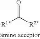 Fig. 21 - Biocatalytic transamination process