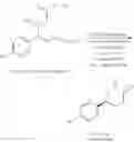 Fig. 29 - Biocatalytic transamination process