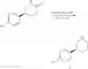 Fig. 32 - Biocatalytic transamination process