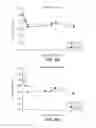 Fig. 08 - METHOD OF USING ALPHA-AMYLASE FROM ASPERGILLUS FUMIGATUS AND PULLULANASE FOR SACCHARIFICATION