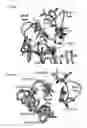 Fig. 10 - Glycosyl hydrolase xylanases, compositions and methods of use for efficient hydrolysis and processing of xylan