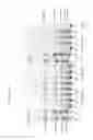 Fig. 11 - Glycosyl hydrolase xylanases, compositions and methods of use for efficient hydrolysis and processing of xylan