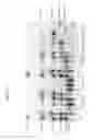 Fig. 12 - Glycosyl hydrolase xylanases, compositions and methods of use for efficient hydrolysis and processing of xylan