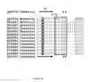 Fig. 15 - Glycosyl hydrolase xylanases, compositions and methods of use for efficient hydrolysis and processing of xylan