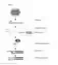 Fig. 02 - Methods for the Detection of DNA-RNA Proximity in Vivo