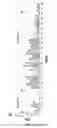 Fig. 16 - Systems and methods to assess microbiomes and treatments thereof