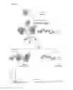 Fig. 02 - Selective Purification of RNA and RNA-Bound Molecular Complexes