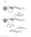 Fig. 03 - Selective Purification of RNA and RNA-Bound Molecular Complexes