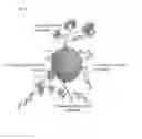 Fig. 10 - Selective Purification of RNA and RNA-Bound Molecular Complexes
