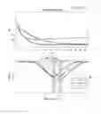 Fig. 17 - Probes for improved melt discrimination and multiplexing in nucleic acid assays