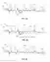 Fig. 09 - Modified nucleotide linkers