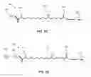 Fig. 10 - Modified nucleotide linkers