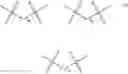 Fig. 24 - Modified nucleotide linkers