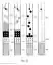 Fig. 11 - Manipulation of microparticles in microfluidic systems