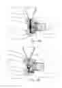 Fig. 19 - Methods and compositions for detecting non-hematopoietic cells from a blood sample