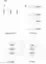 Fig. 02 - Methods for Diagnosing and Treating Diseases Caused by Genetic Copy Number Variants of Ultra-Conserved Elements