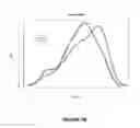 Fig. 13 - SYSTEMS AND METHODS FOR CHARACTERIZATION OF MULTIPLE SCLEROSIS