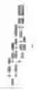 Fig. 04 - KIR3DL1 allele classification kit and method