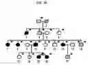 Fig. 02 - Mutations in DSTYK cause dominant urinary tract malformations
