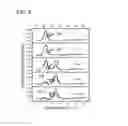 Fig. 08 - Methods and Kits for Detecting Nucleic Acid Mutants in Wild-Type Populations