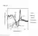 Fig. 20 - Methods and Kits for Detecting Nucleic Acid Mutants in Wild-Type Populations
