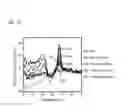 Fig. 22 - Methods and Kits for Detecting Nucleic Acid Mutants in Wild-Type Populations