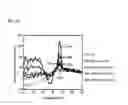 Fig. 23 - Methods and Kits for Detecting Nucleic Acid Mutants in Wild-Type Populations
