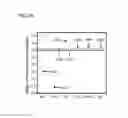 Fig. 27 - Methods and Kits for Detecting Nucleic Acid Mutants in Wild-Type Populations