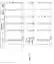 Fig. 20 - CIRCULATING TUMOR CELL DIAGNOSTICS FOR DETECTION OF NEUROENDOCRINE PROSTATE CANCER (NEPC)