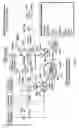 Fig. 03 - METHOD TO IMPROVE EXPRESSION AND OTHER BIOLOGICAL ANALYSIS
