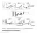 Fig. 07 - BIOMARKERS FOR THE IDENTIFICATION OF CHEMOSENSITIVITY