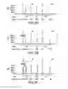 Fig. 03 - Methods and compositions for treating cancer by identifying one or more ERK mutations