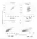 Fig. 13 - PROGNOSTIC AND DIAGNOSTIC METHODS BASED ON QUANTIFICATION OF SOMATIC MICROSATELLITE VARIABILITY