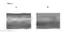 Fig. 02 - Method for treating a substrate made of animal fibers with solid particles and a chemical formulation