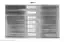 Fig. 05 - Method for treating a substrate made of animal fibers with solid particles and a chemical formulation