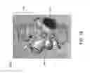 Fig. 19 - Apparatus for in situ deposition of multilayer structures via atomic layer deposition and ultra-high vacuum physical or chemical vapor deposition