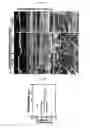 Fig. 07 - METHOD OF MANUFACTURING POROUS THREE-DIMENSIONAL MICRO/NANOFIBROUS SCAFFOLD USING ELECTROHYDRODYNAMIC PROCESS AND POROUS THREE-DIMENSIONAL MICRO/NANOFIBROUS SCAFFOLD MANUFACTURED THEREBY