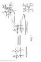 Fig. 02 - Functionalizing cellulosic and lignocellulosic materials