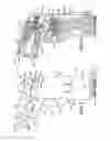 Fig. 04 - Handheld sprayer with single-handed spraying and aerating modes
