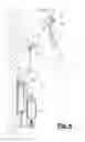 Fig. 05 - KITCHEN FITTING AND OPERATING METHOD