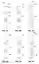 Fig. 10 - Pre-fabricated structures and methods