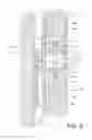 Fig. 04 - Extruded profile for a fitted panel and fitted panel comprising said extruded profile