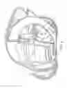 Fig. 05 - Automatic swimming pool cleaner concepts