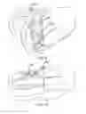 Fig. 06 - Assemblies for Personal Restraint