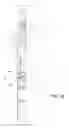 Fig. 13 - Handle for a door or window with two or three point latch