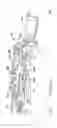 Fig. 07 - Low profile adjustable soft close hinge apparatus