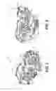 Fig. 09 - Transverse mounted accessory gearbox