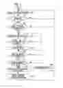 Fig. 03 - Internal combustion engine