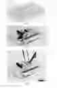 Fig. 15 - Self-folding machines
